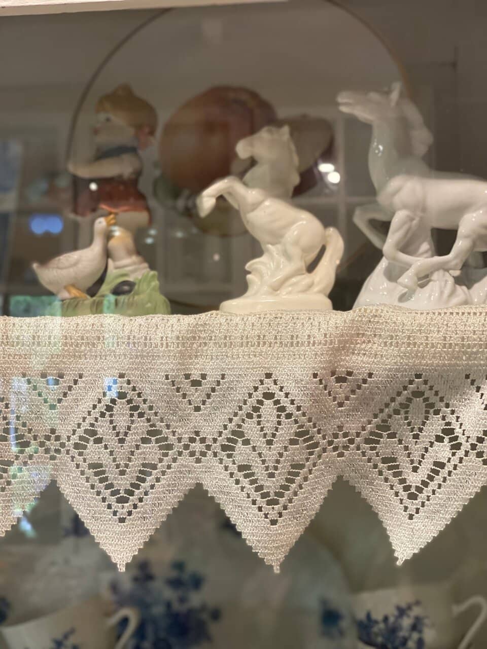 Short Film on Svetlogorsk