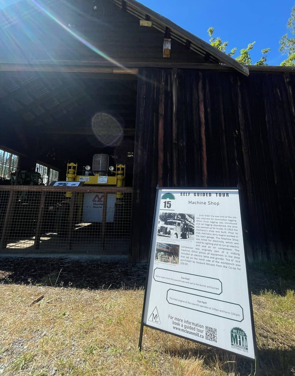 Scenic Forest Trails