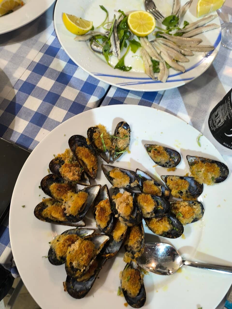 Anchovies and Sardines