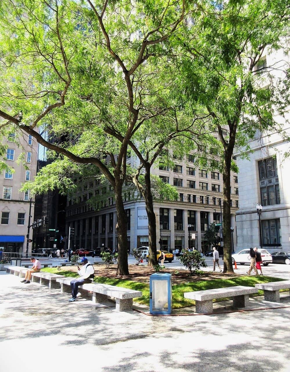 Daley Plaza Farmers Market