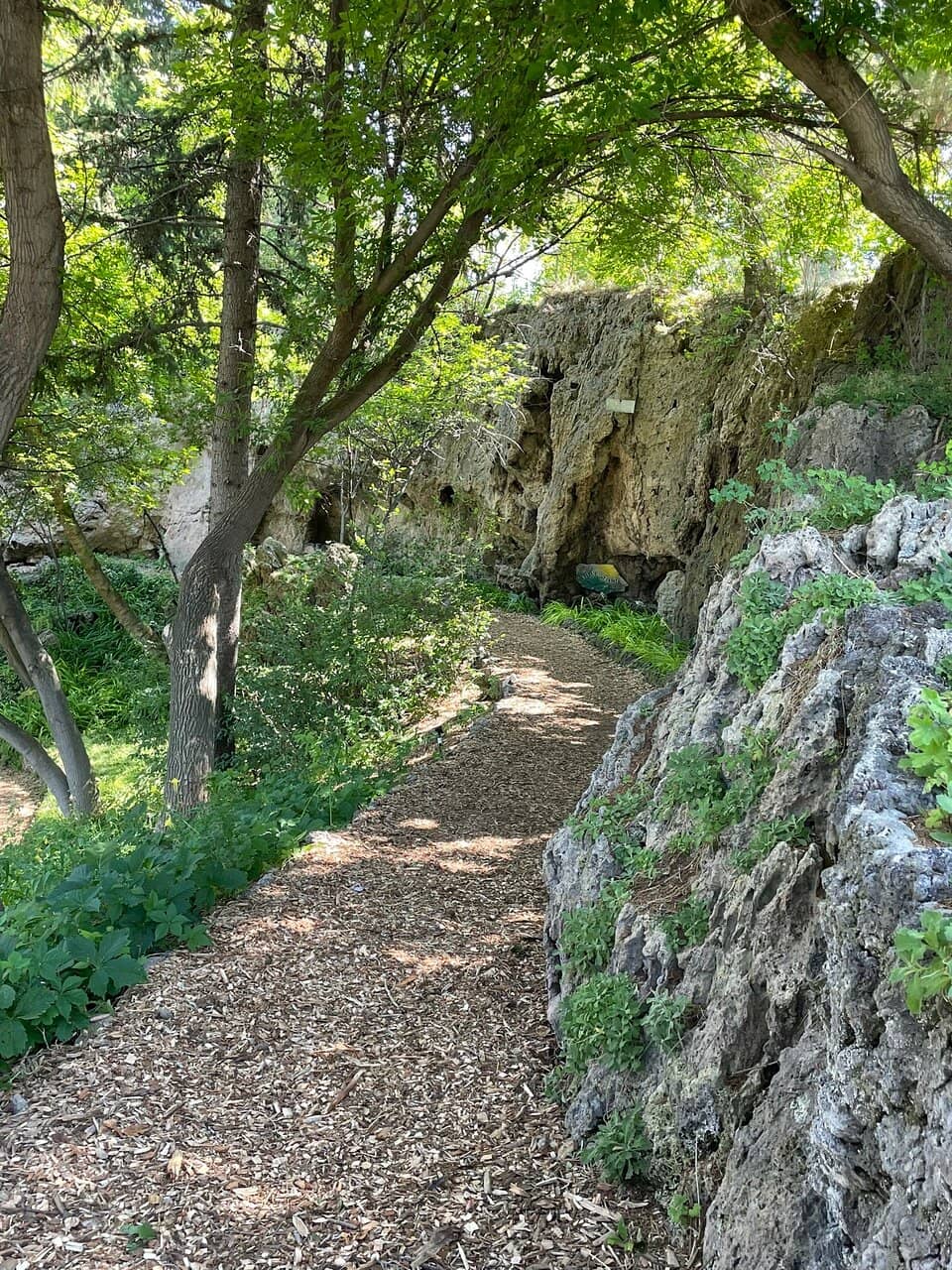 Vibrant Floral Displays