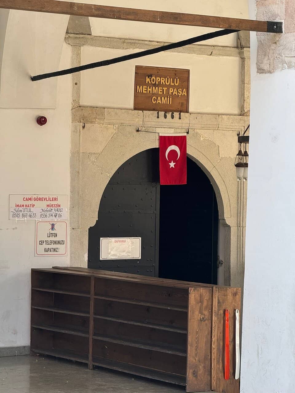 Centuries-Old Plane Trees