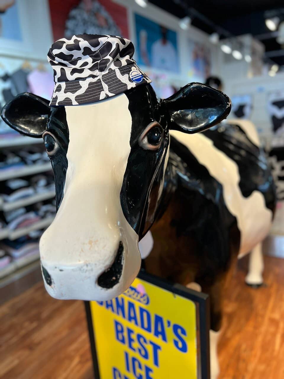 Cow-Themed Charm & Merch