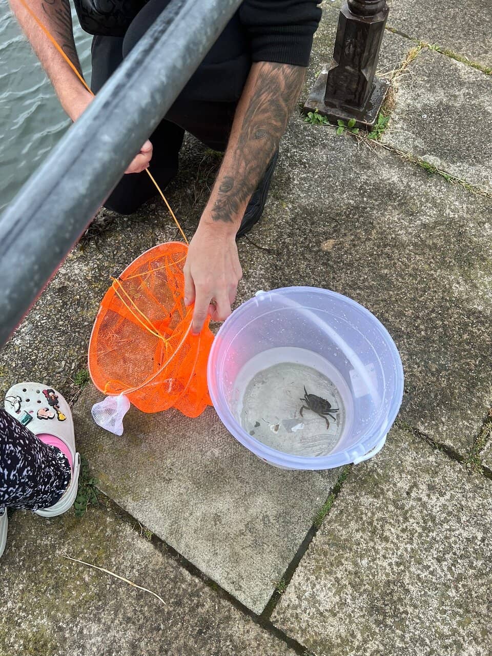Porthmadog Harbour Views