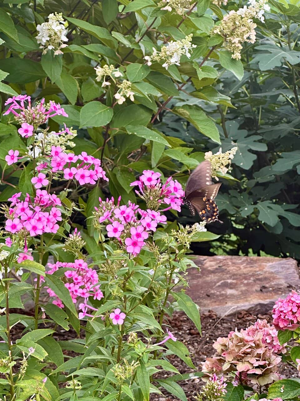 Serene Cathedral Grounds