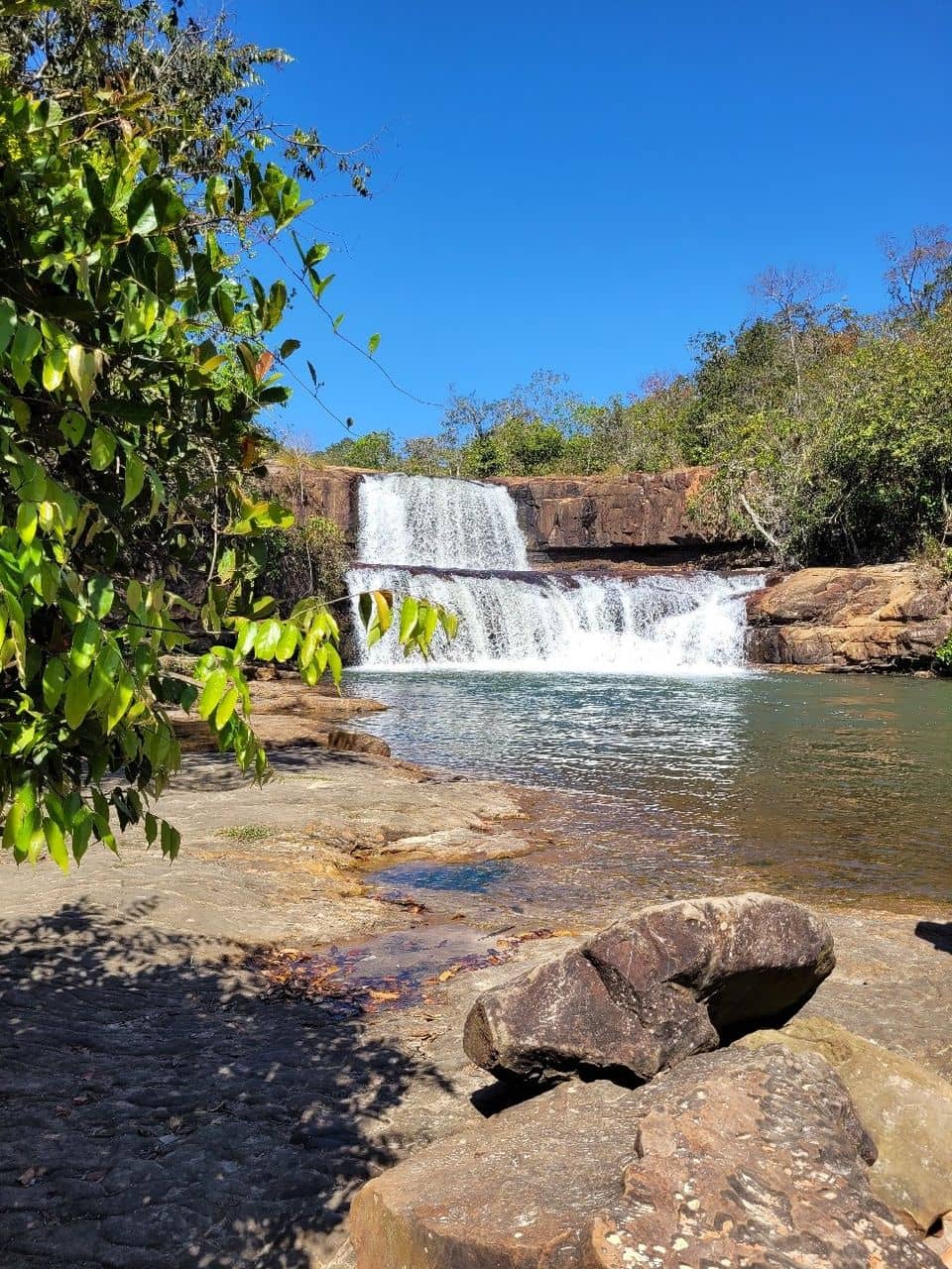 Scenic Roadside Beauty