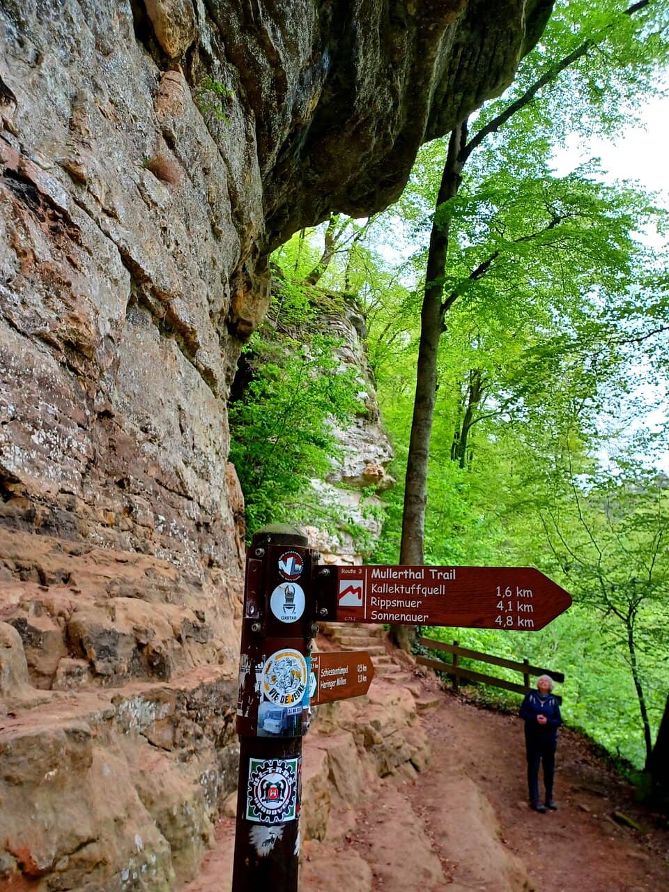 Mullerthal Trail Scenery