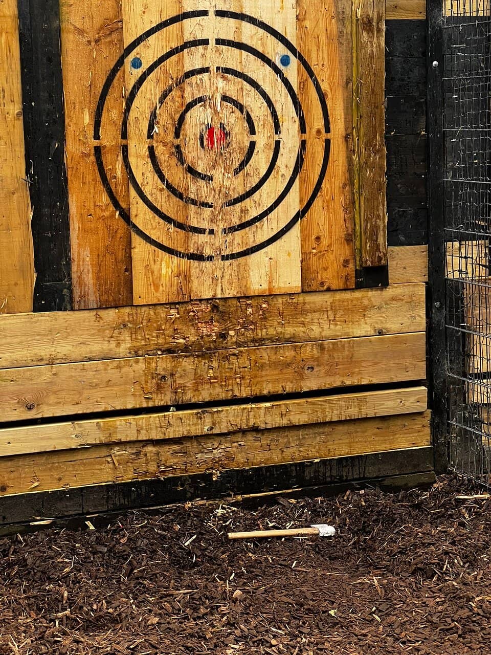 Forest Segway Experience