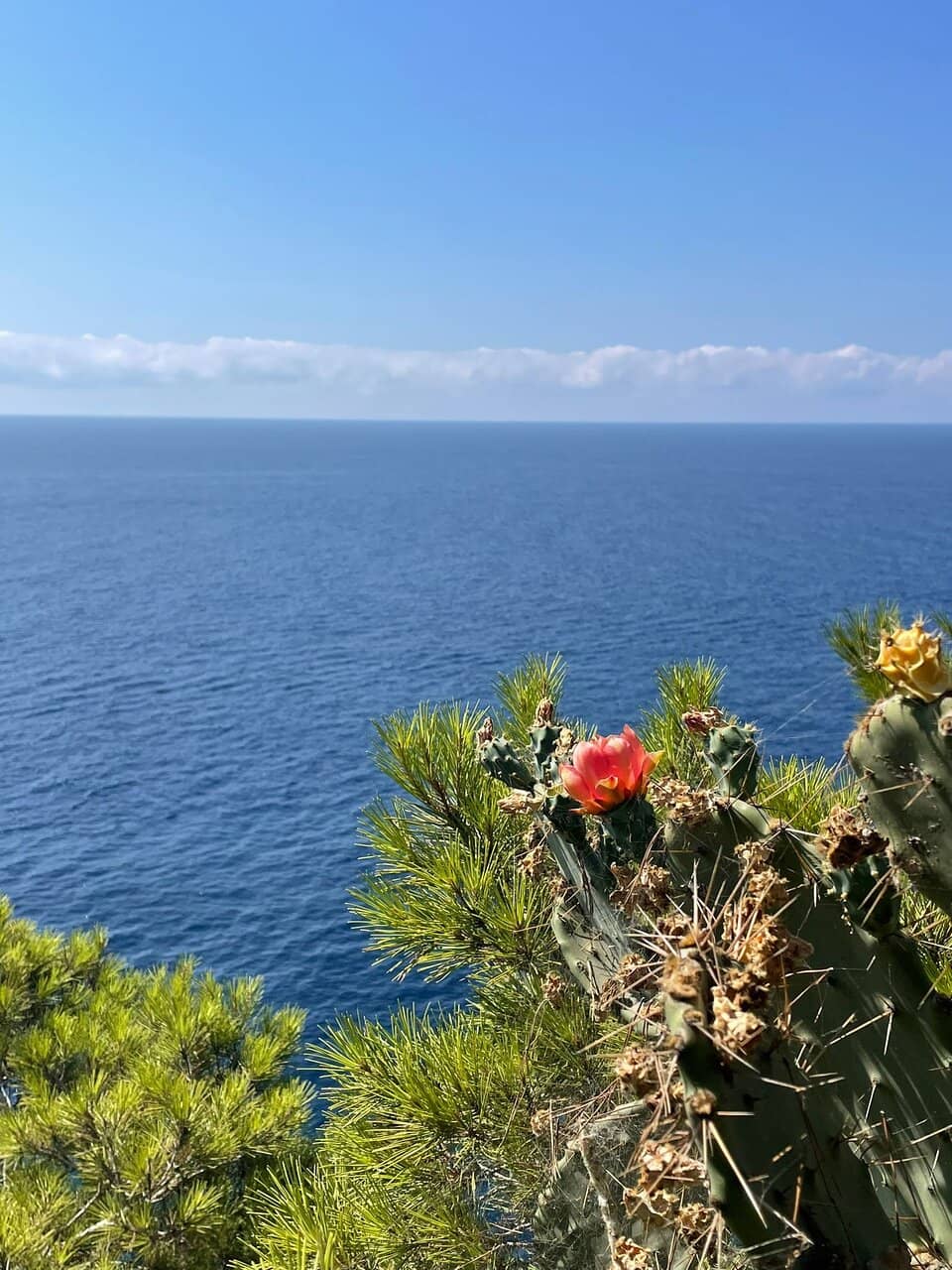 The Iconic Lighthouse