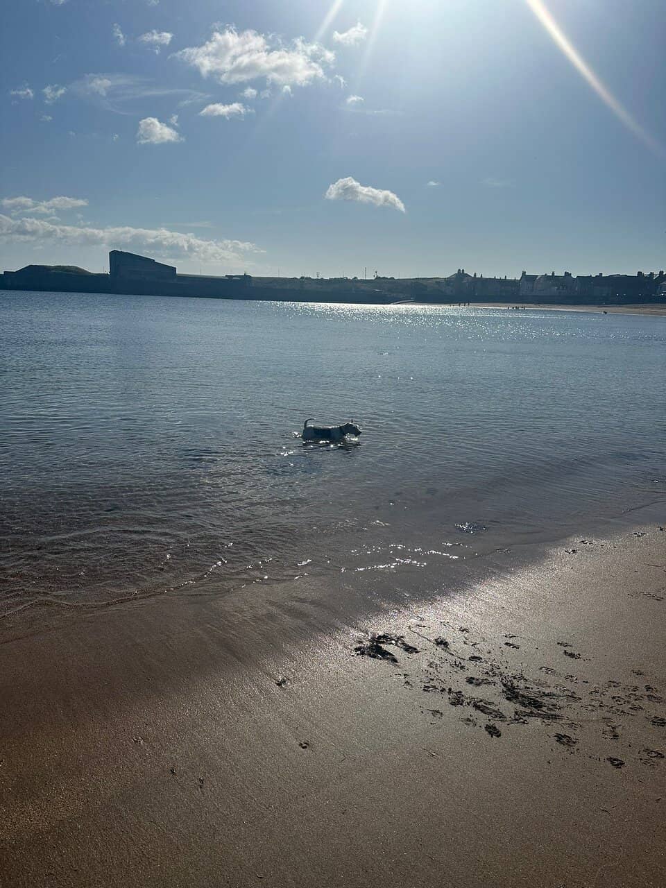 Coastal Path Walk to St. Abbs