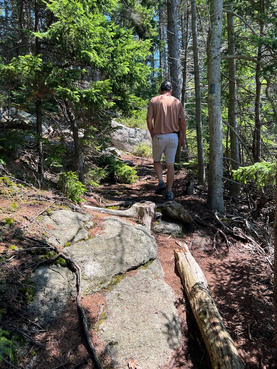 Shaded Woodland Trails
