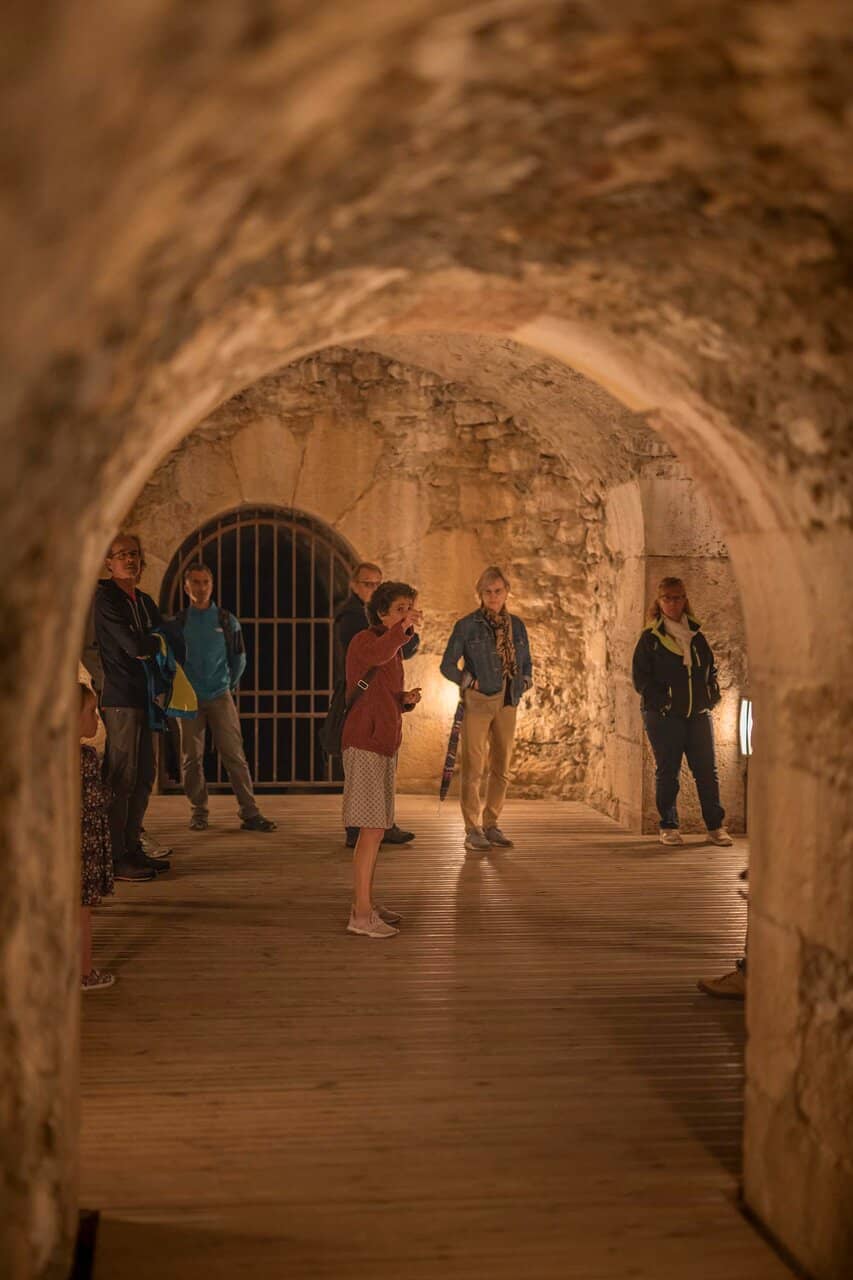 Panoramic Valley Vistas