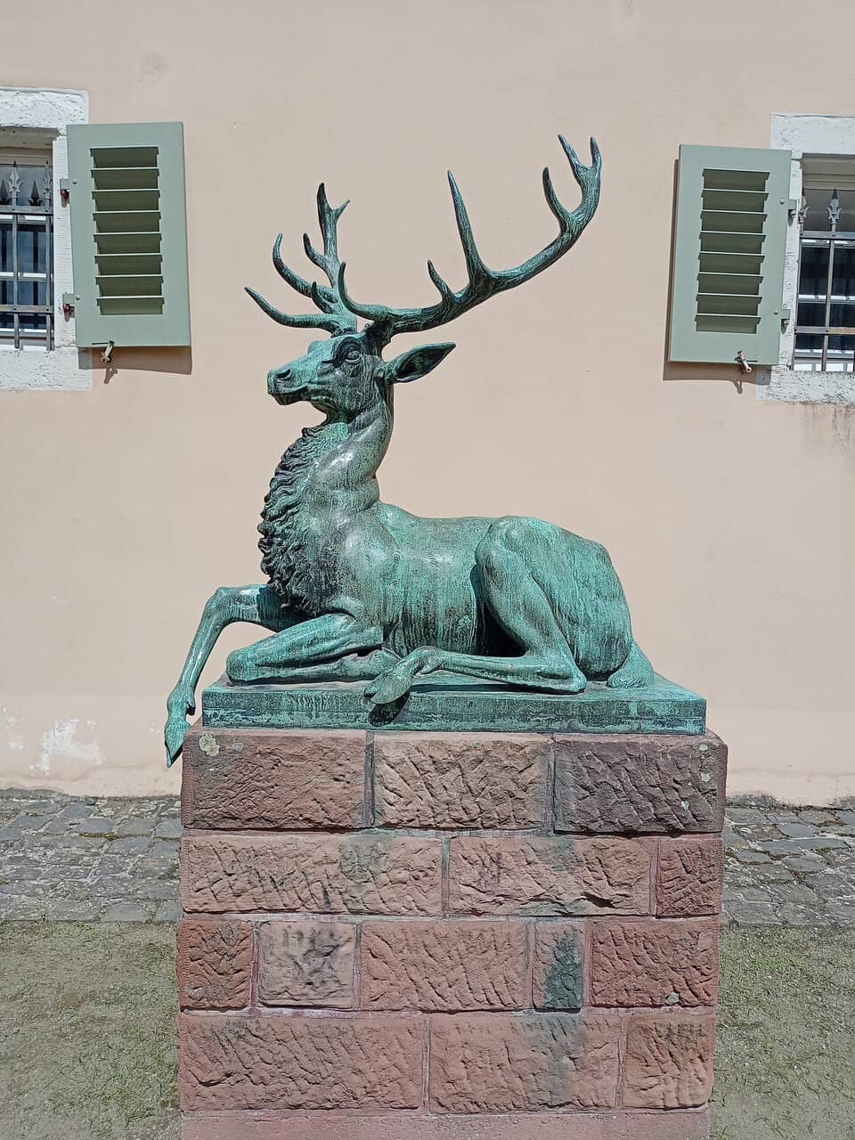 Serene Forest Setting