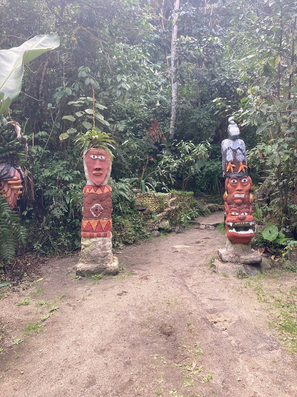 The 'Living Jungle' Trail