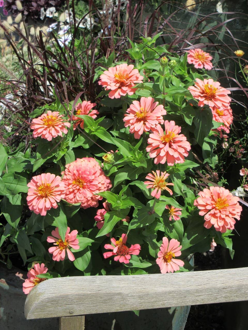 Deer Creek Children's Discovery and Play Area