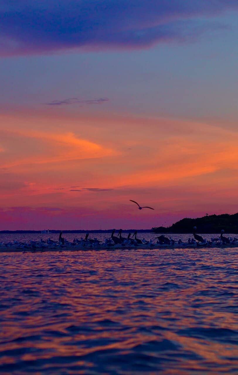 Sunset & Wildlife Encounters