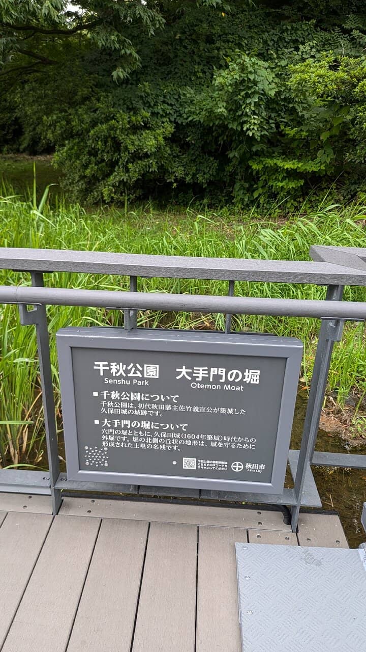 Seasonal Flower Displays