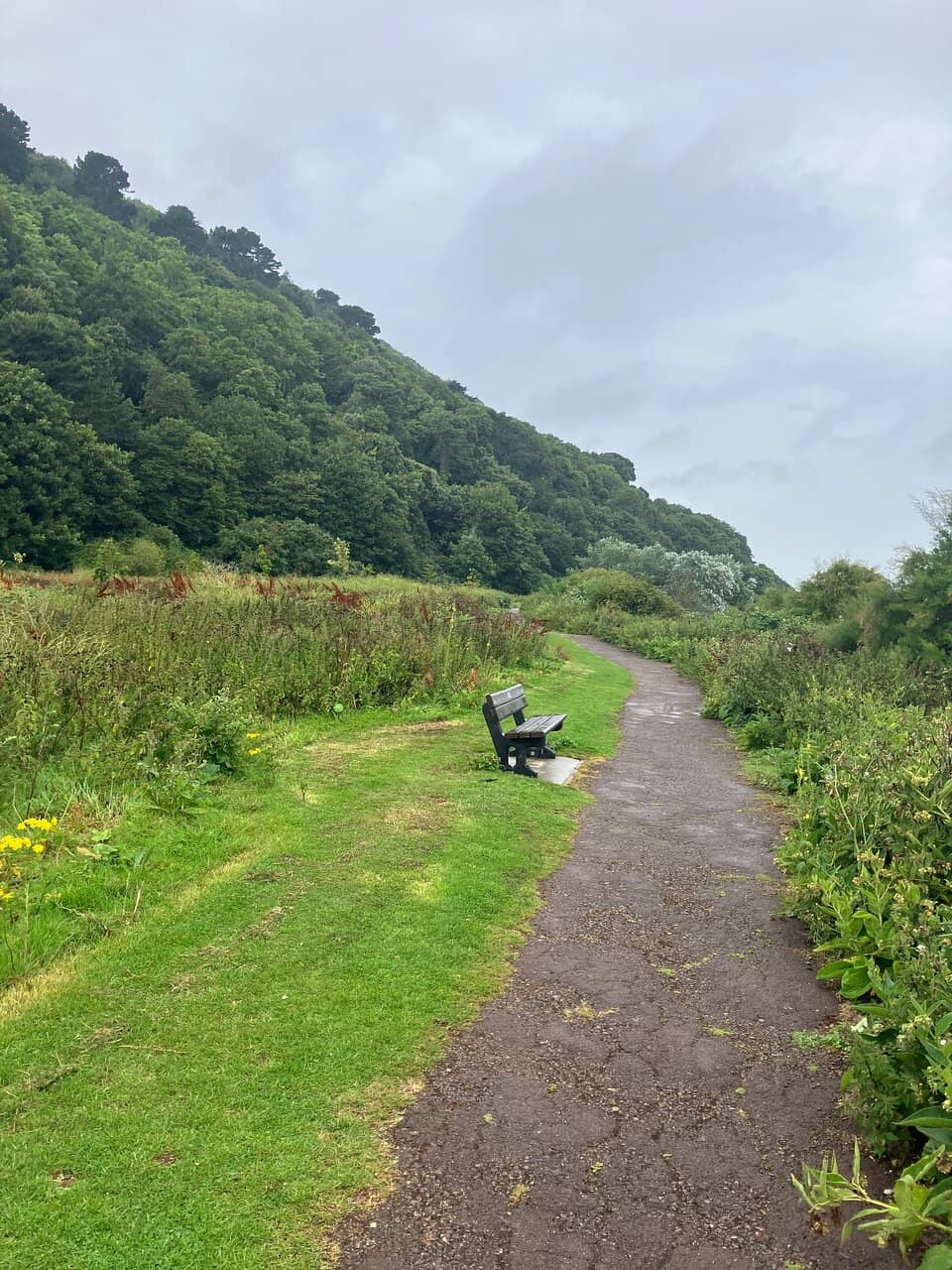 Woodland Circular Walks