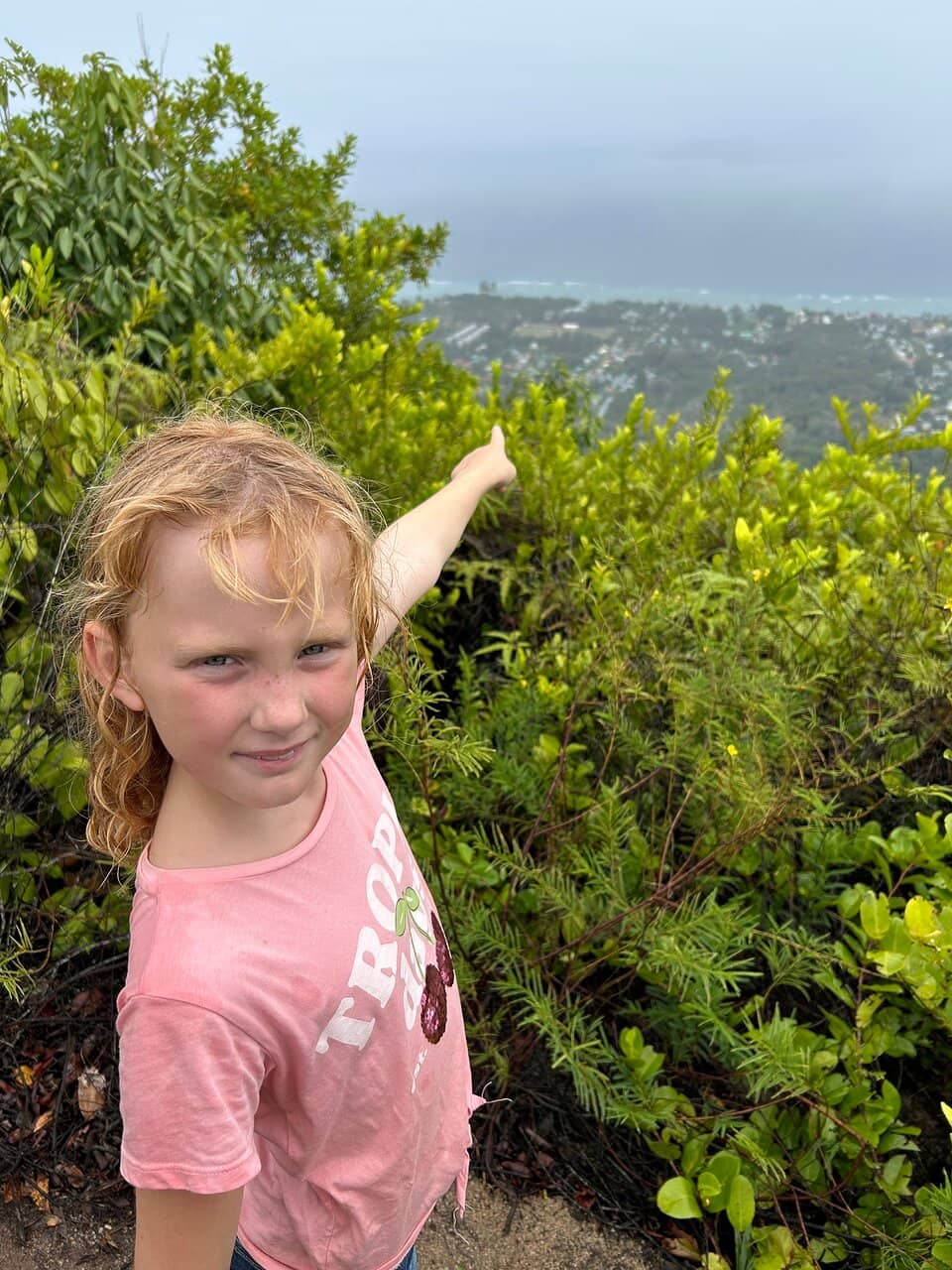 Panoramic Mountain Vistas