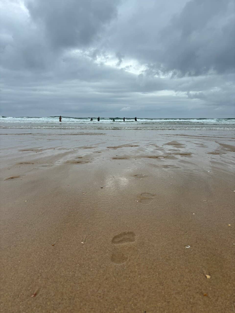 Tranquil Forest and Dune Walkways