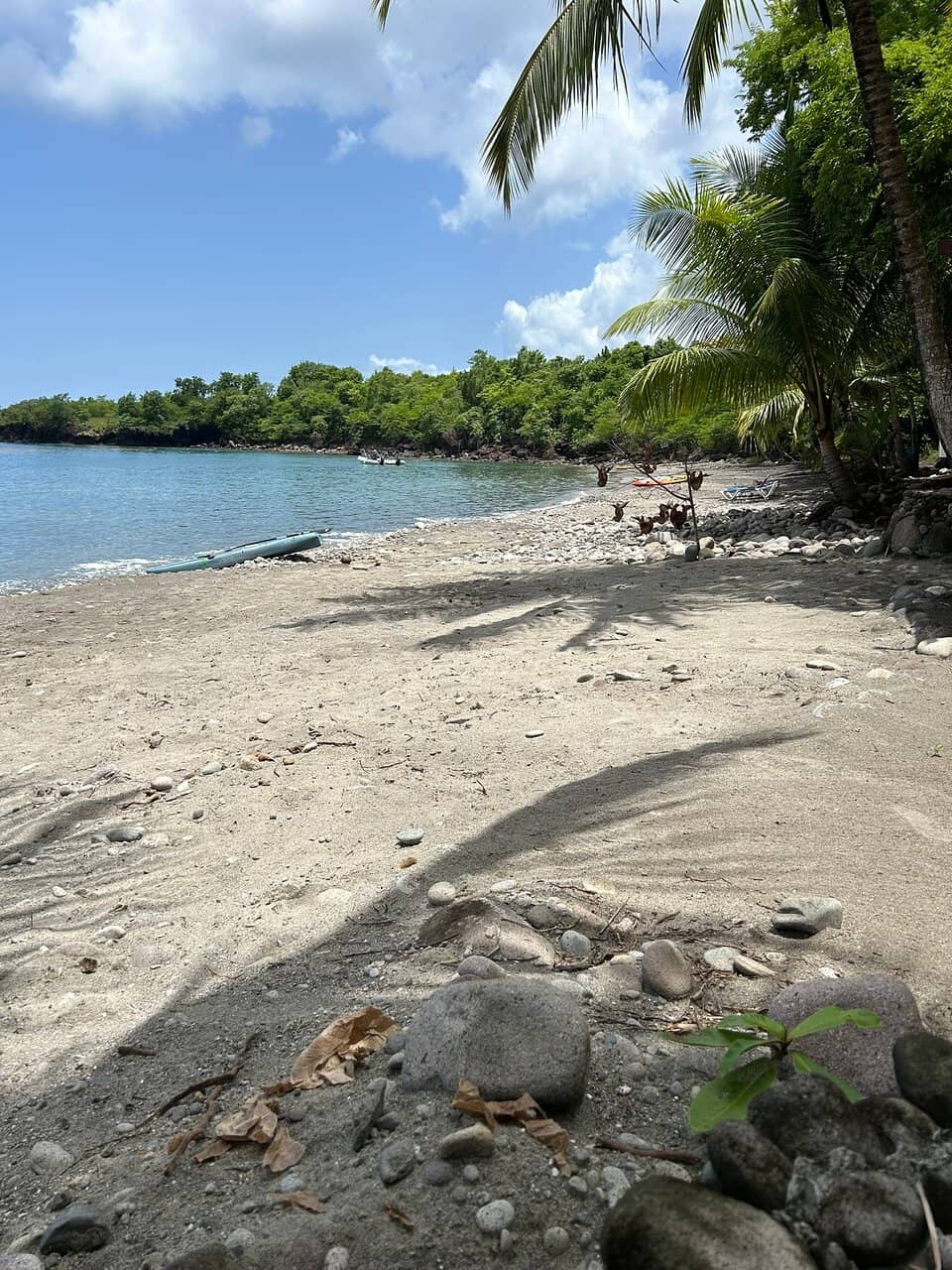 Scenic Resort Setting