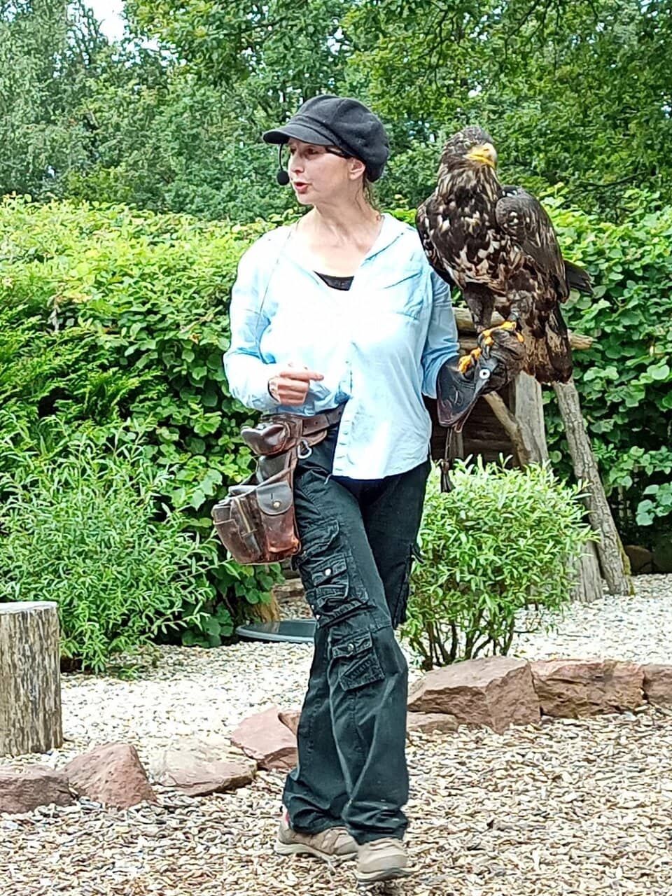 Spectacular Bird of Prey Show