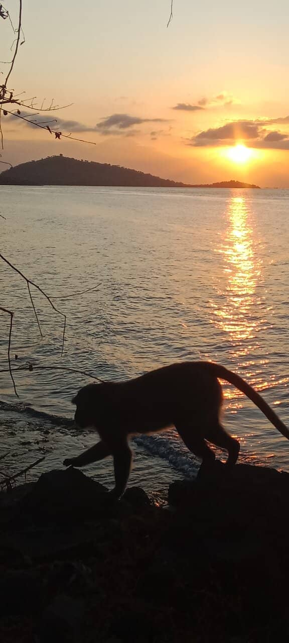 Cliffside Temple Architecture