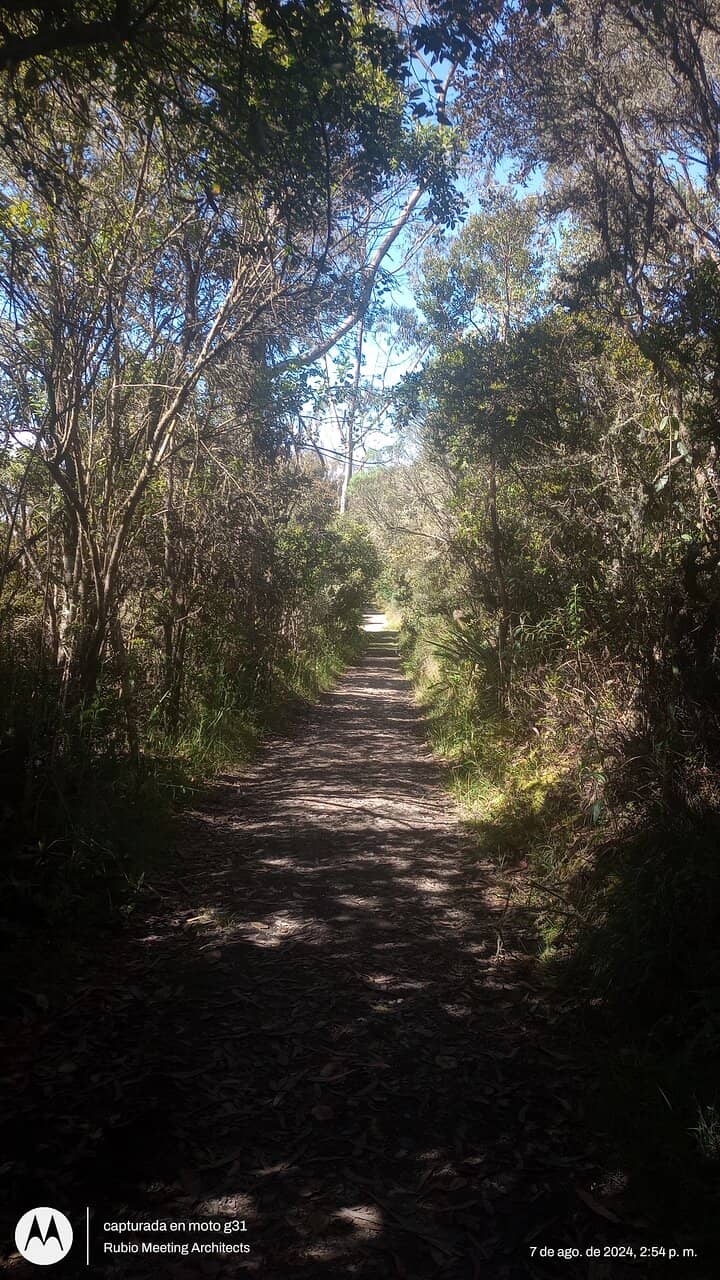 Family-Friendly Trails