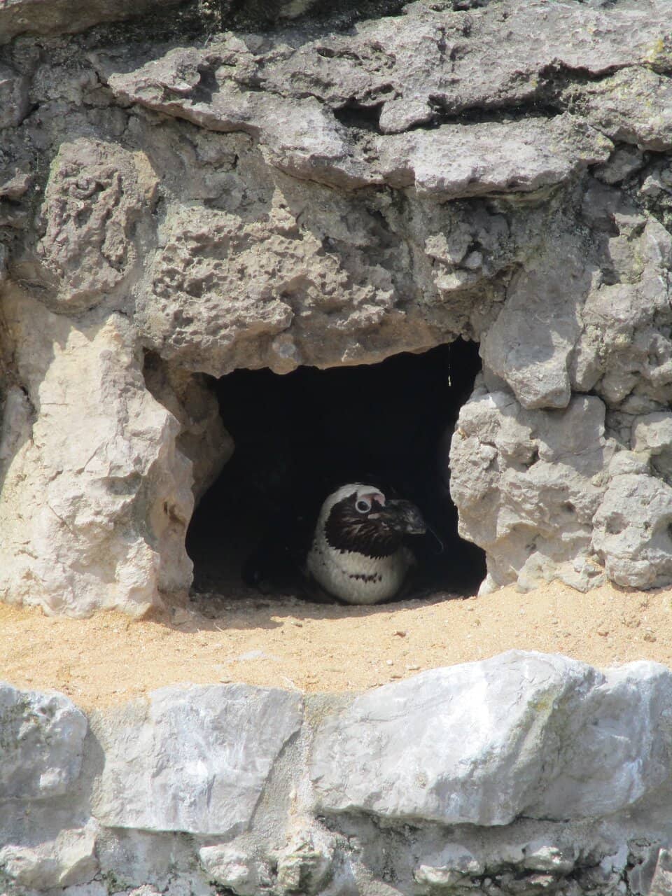 Palace of Magdalena Views