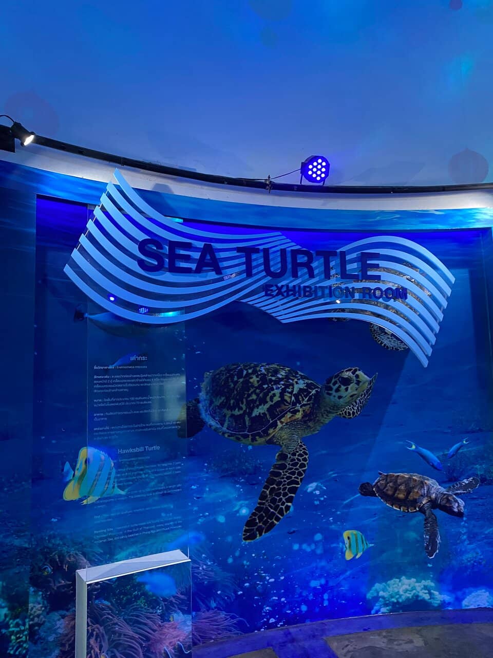 Marine Life Aquarium