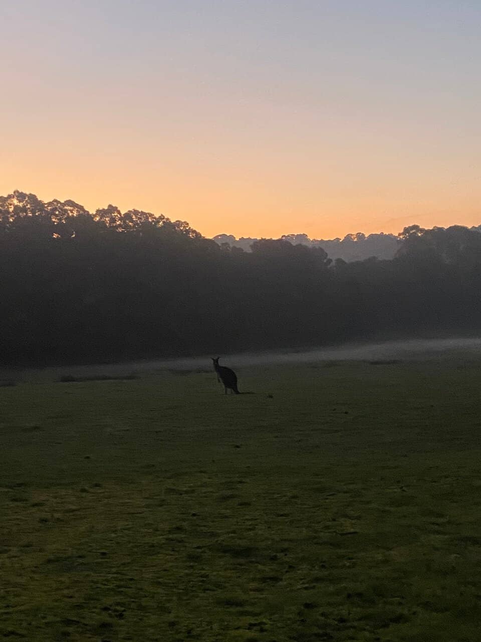 Historic Washout Tunnel