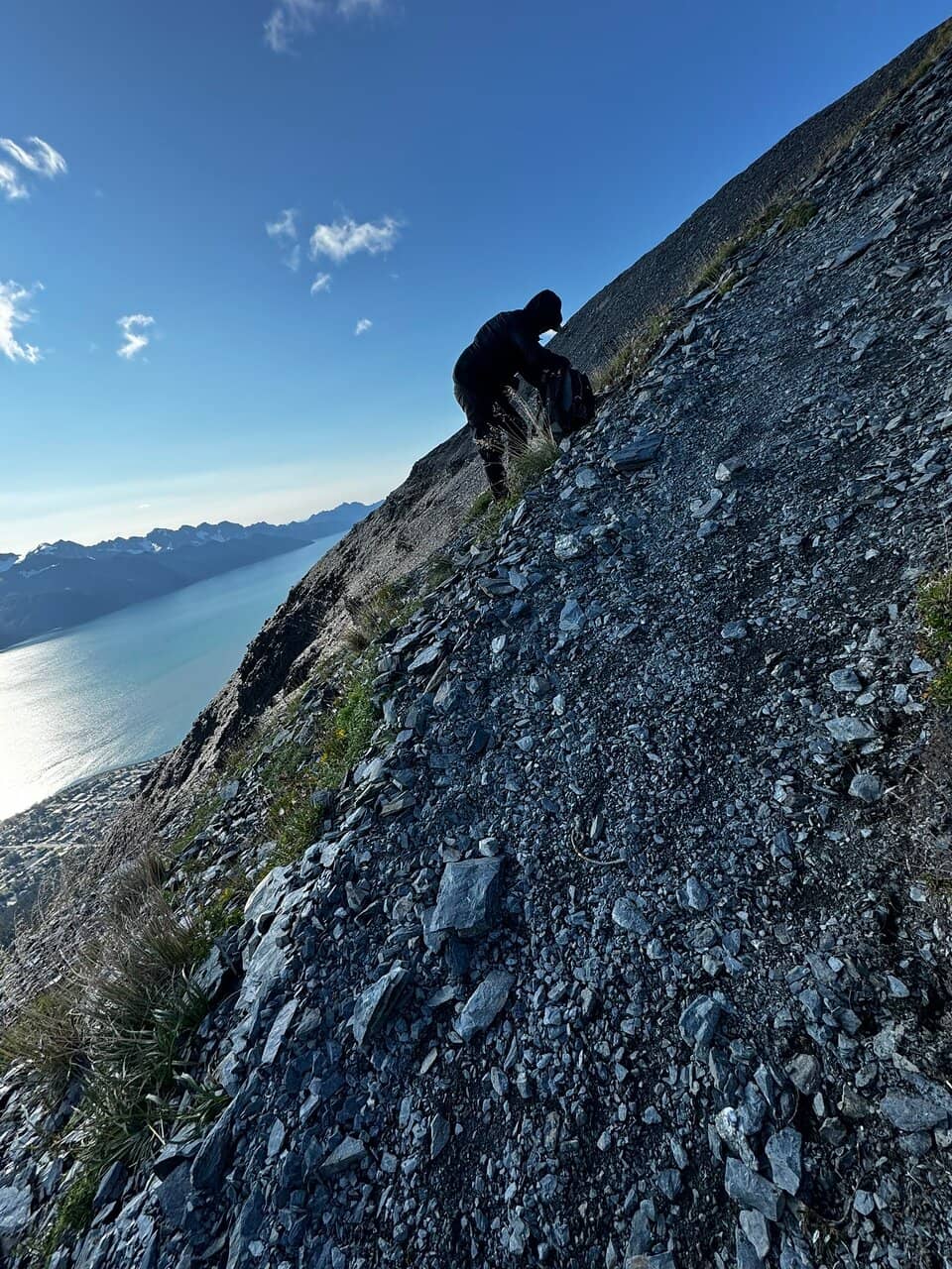 The Summit View