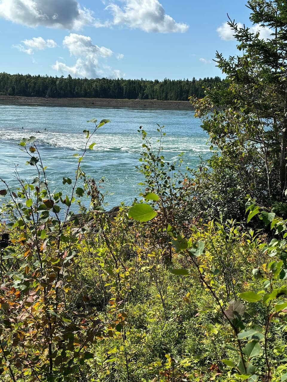 Scenic Hiking Trails