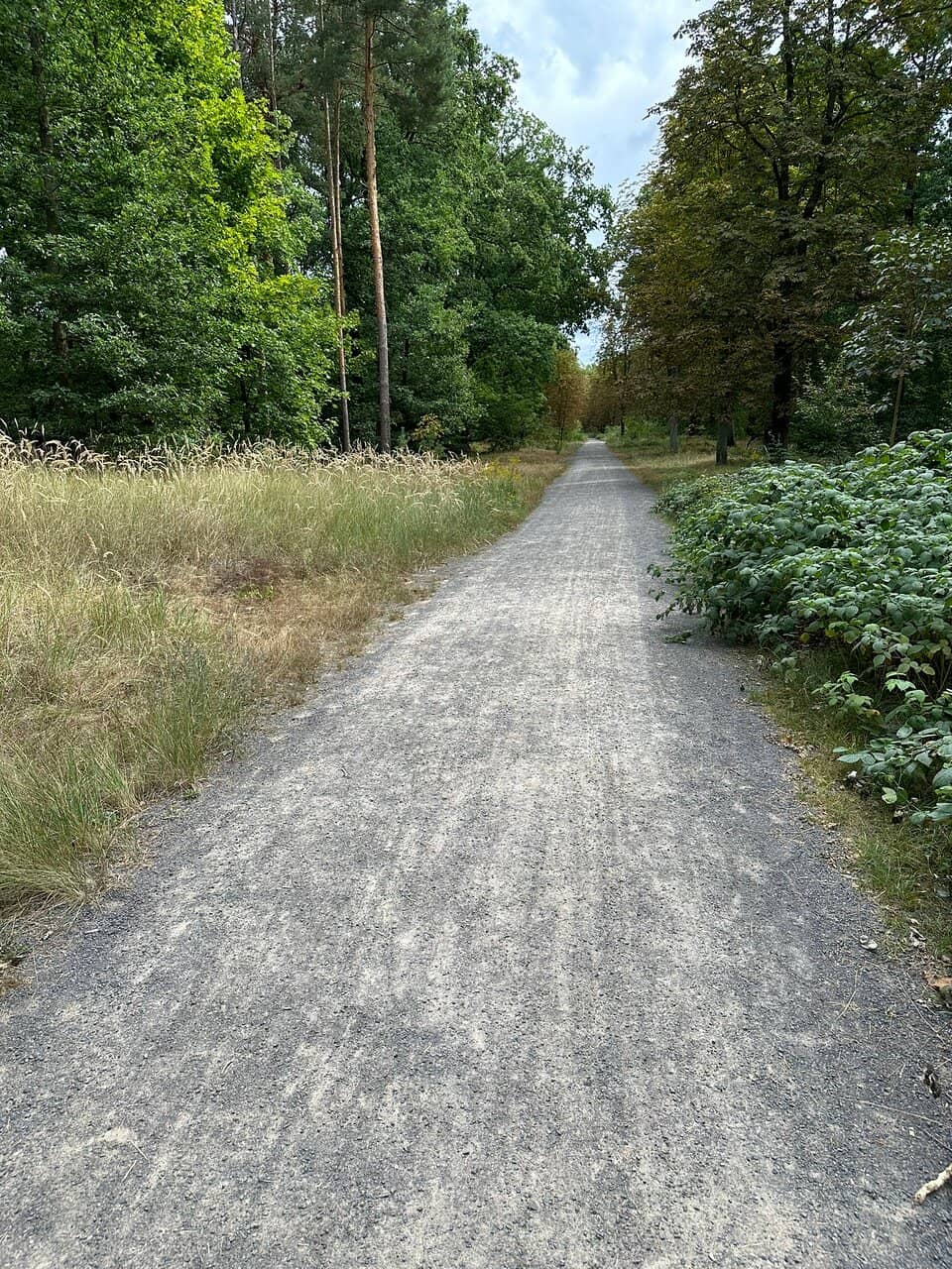 Historic Bus Line 218