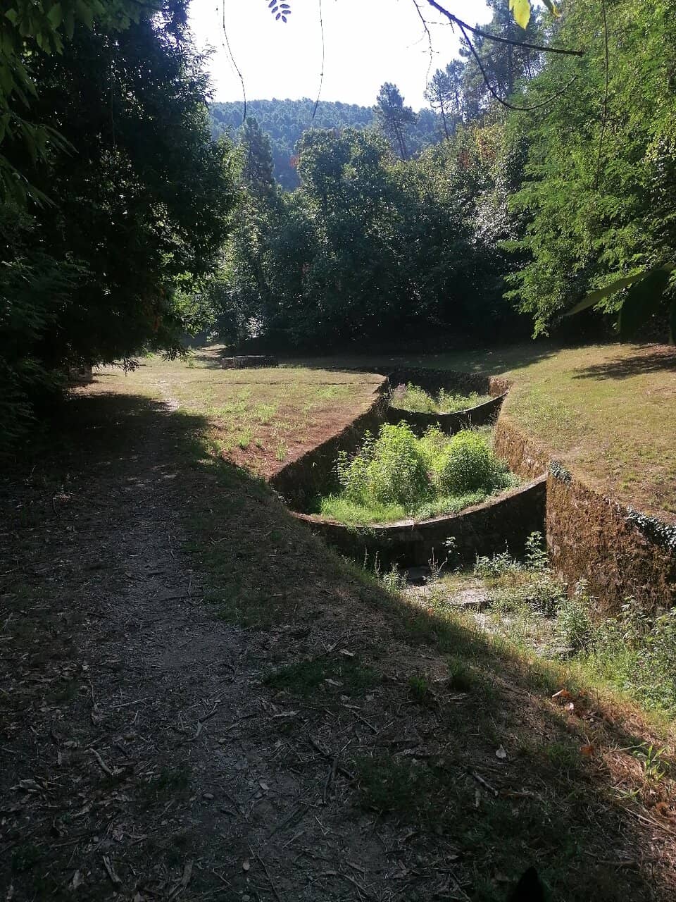 Scenic Hiking Trails