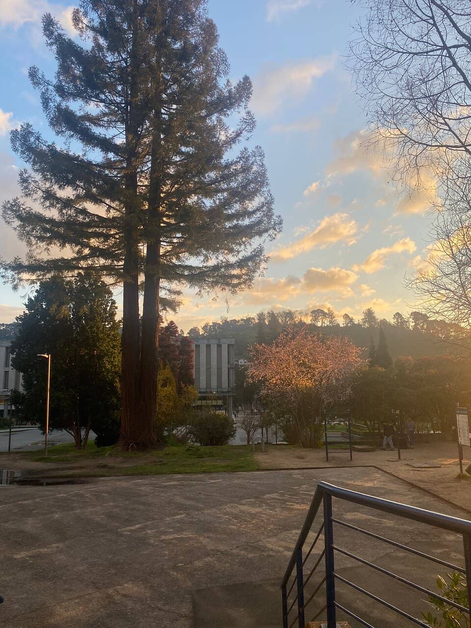 The Arch and Campus Legends