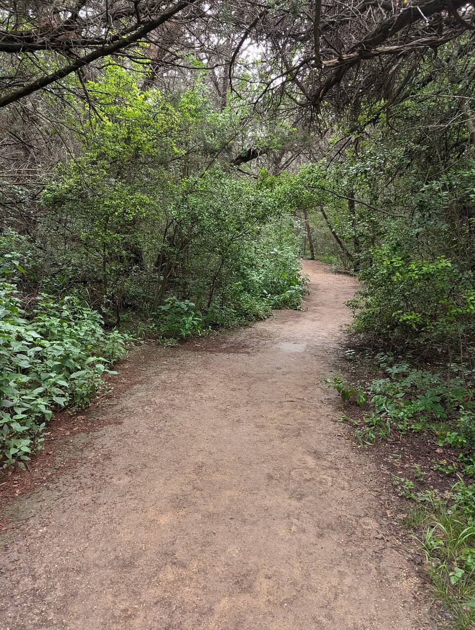 Hill of Life Trailhead