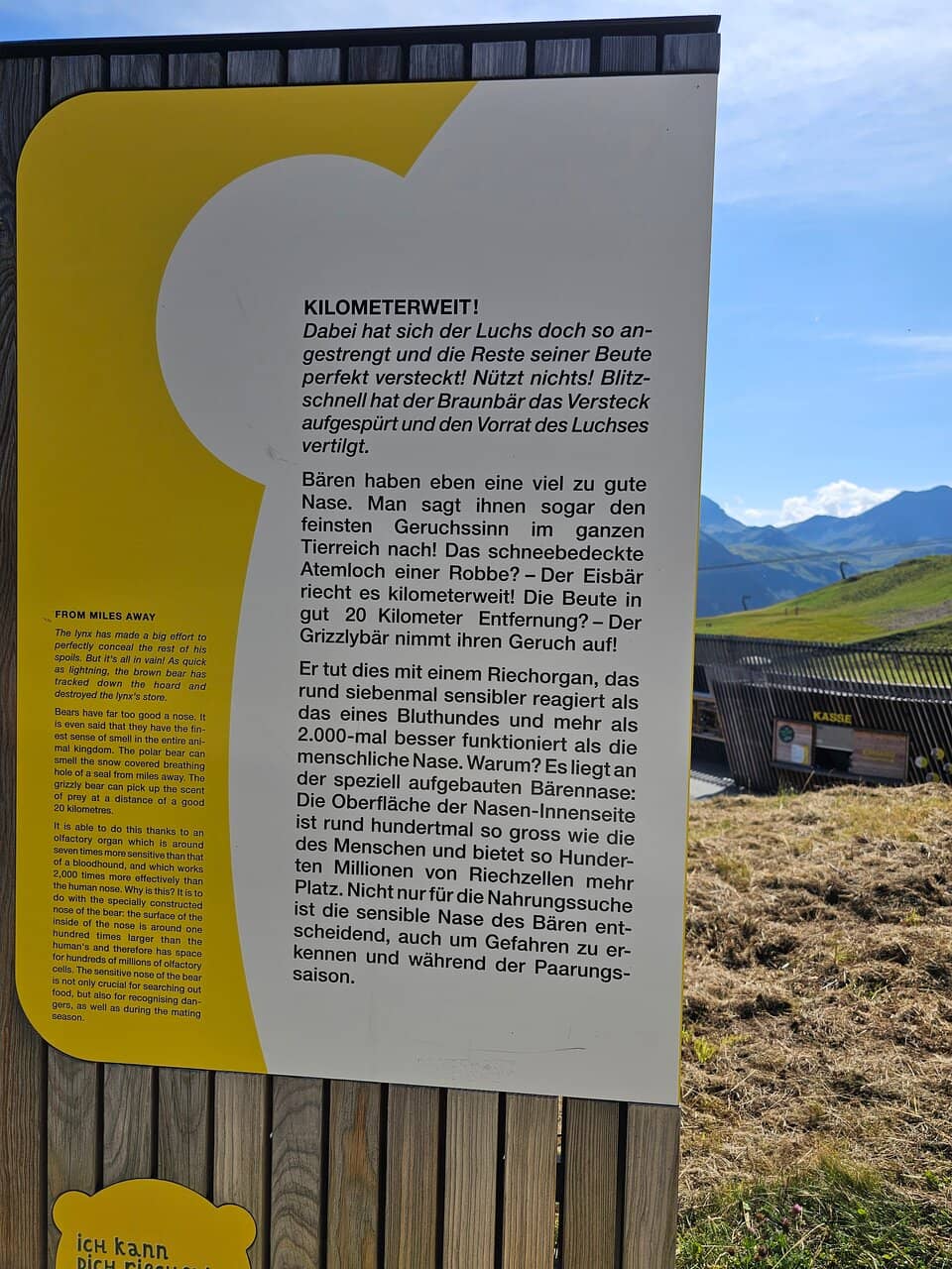 Interactive Educational Exhibits