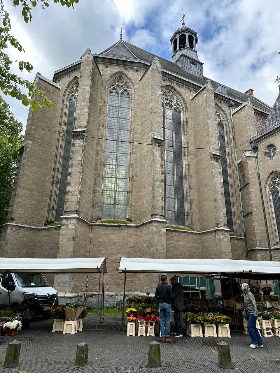 Stunning Side Windows