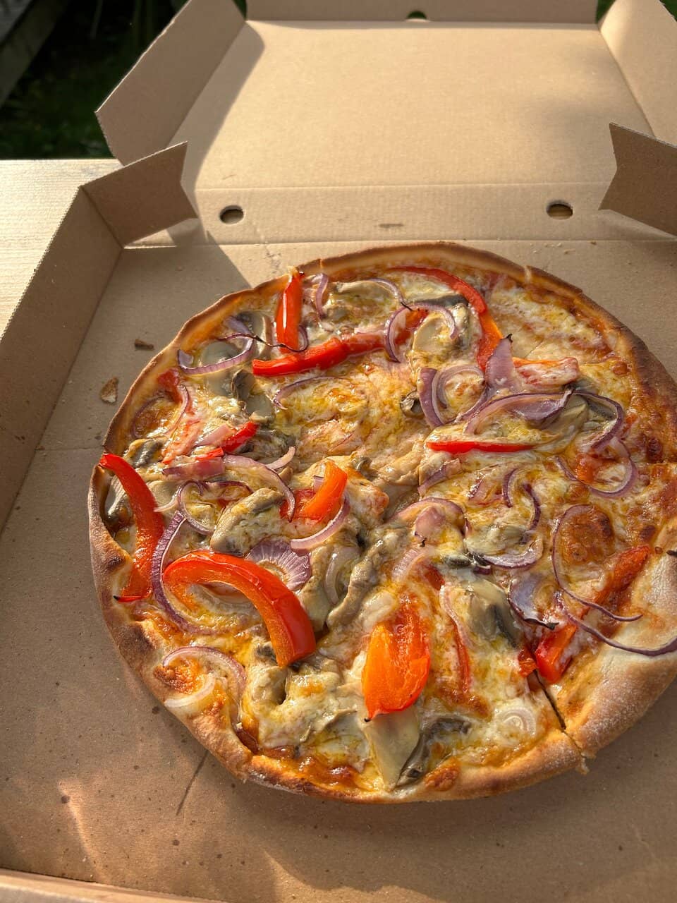 Charming Olive Grove Ambiance