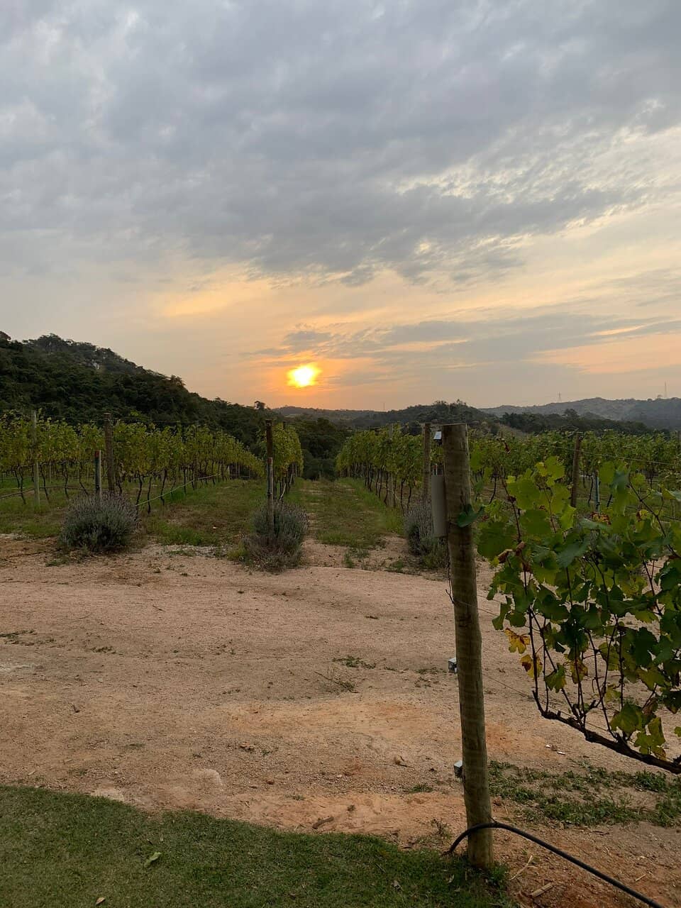 Panoramic Farm Views