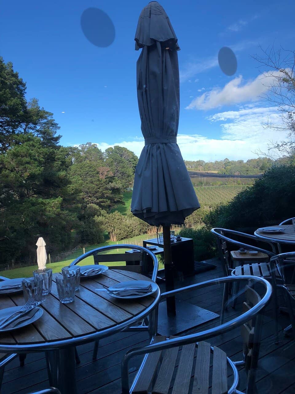 Scenic Vineyard Views