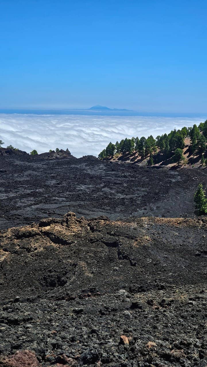 Picnic & Barbecue Area