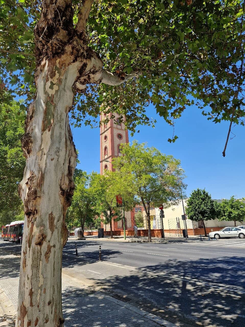 Camera Obscura Experience