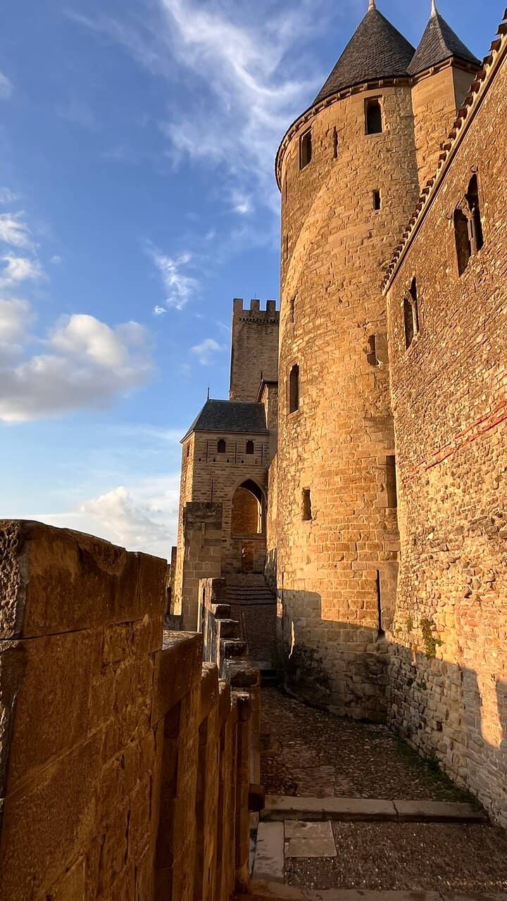 Circular Stripe Illusion