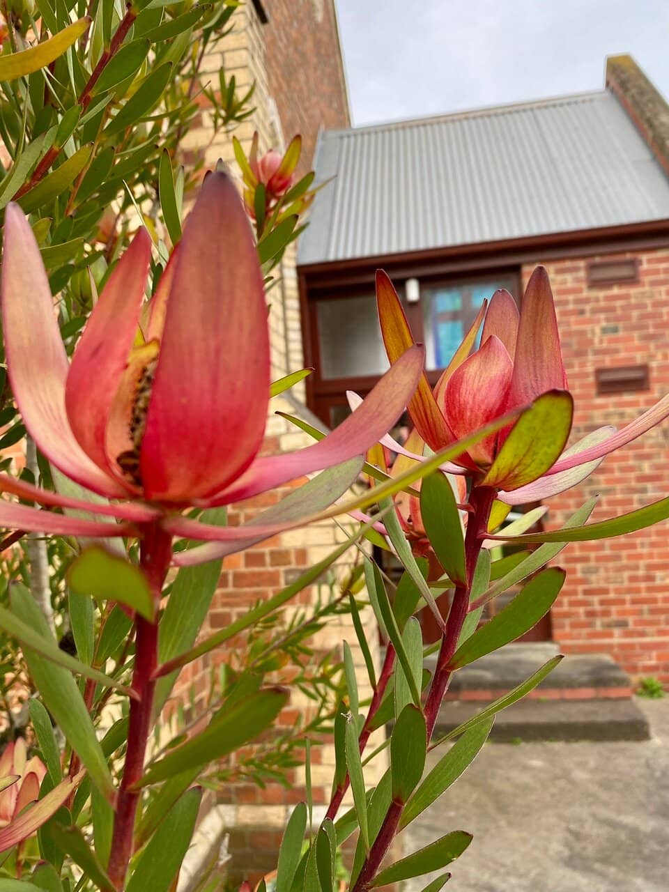 Community Gatherings