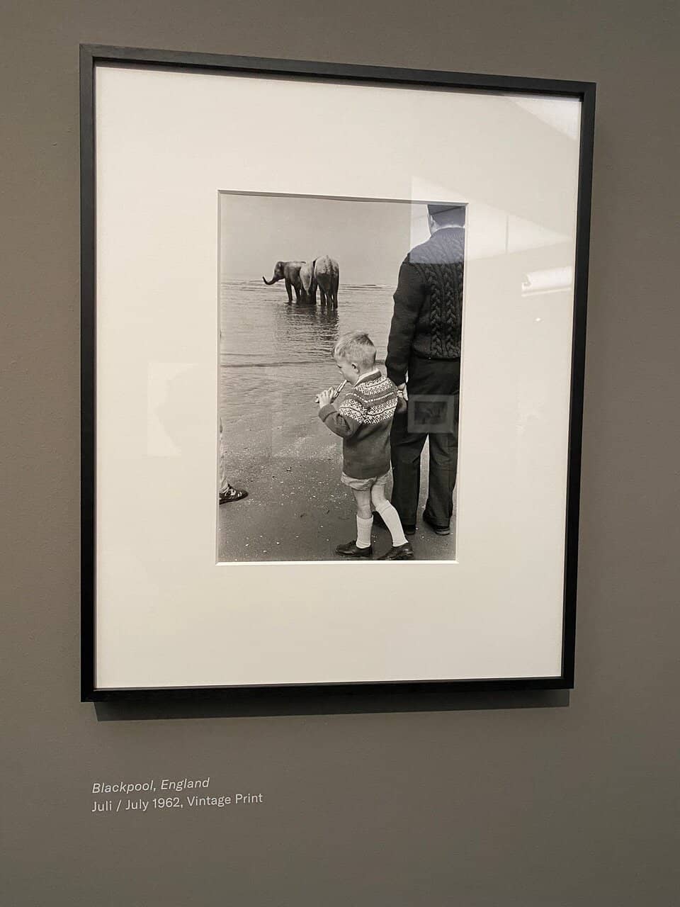 Temporary Exhibitions