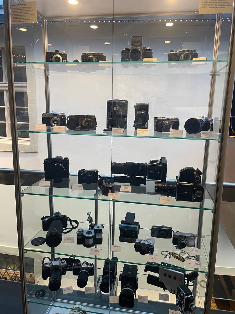 Merano's History & Culture