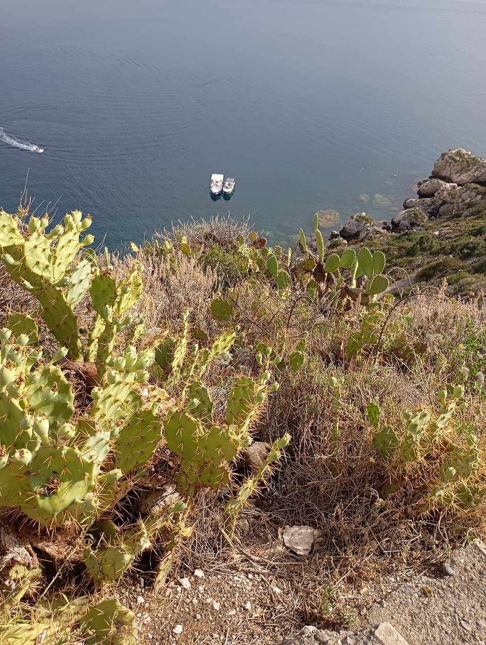 Virtual Seabed Exploration