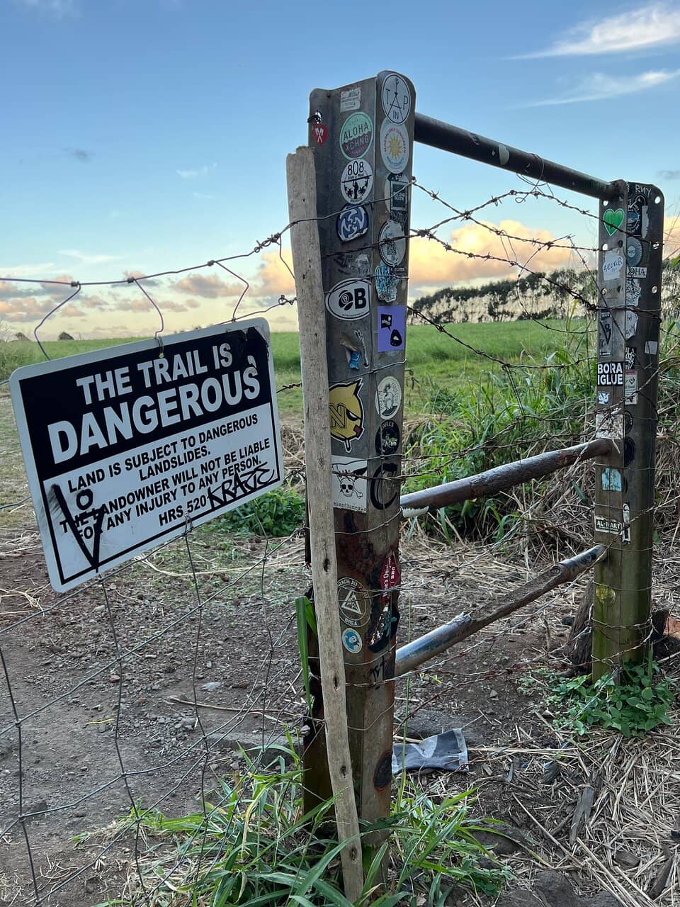 Cliff Jumping Thrills